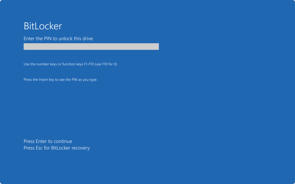 Windows Bitlocker recovery screen